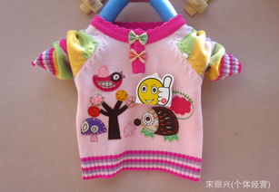 兒童全棉毛衣 時尚韓版童裝毛衣精品 湖州童裝廠家直銷小額批發(fā)價格 廠家 圖片