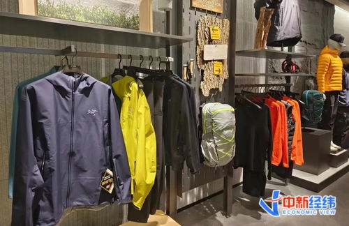 下單要等一個月 劉亦菲同款突然爆火